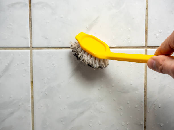 Best Attic Mold Removal  in Andrews, NC