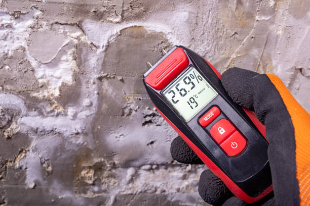 Best Mold Cleaning Services  in Andrews, NC