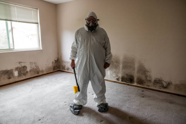 Best Residential Mold Removal  in Andrews, NC
